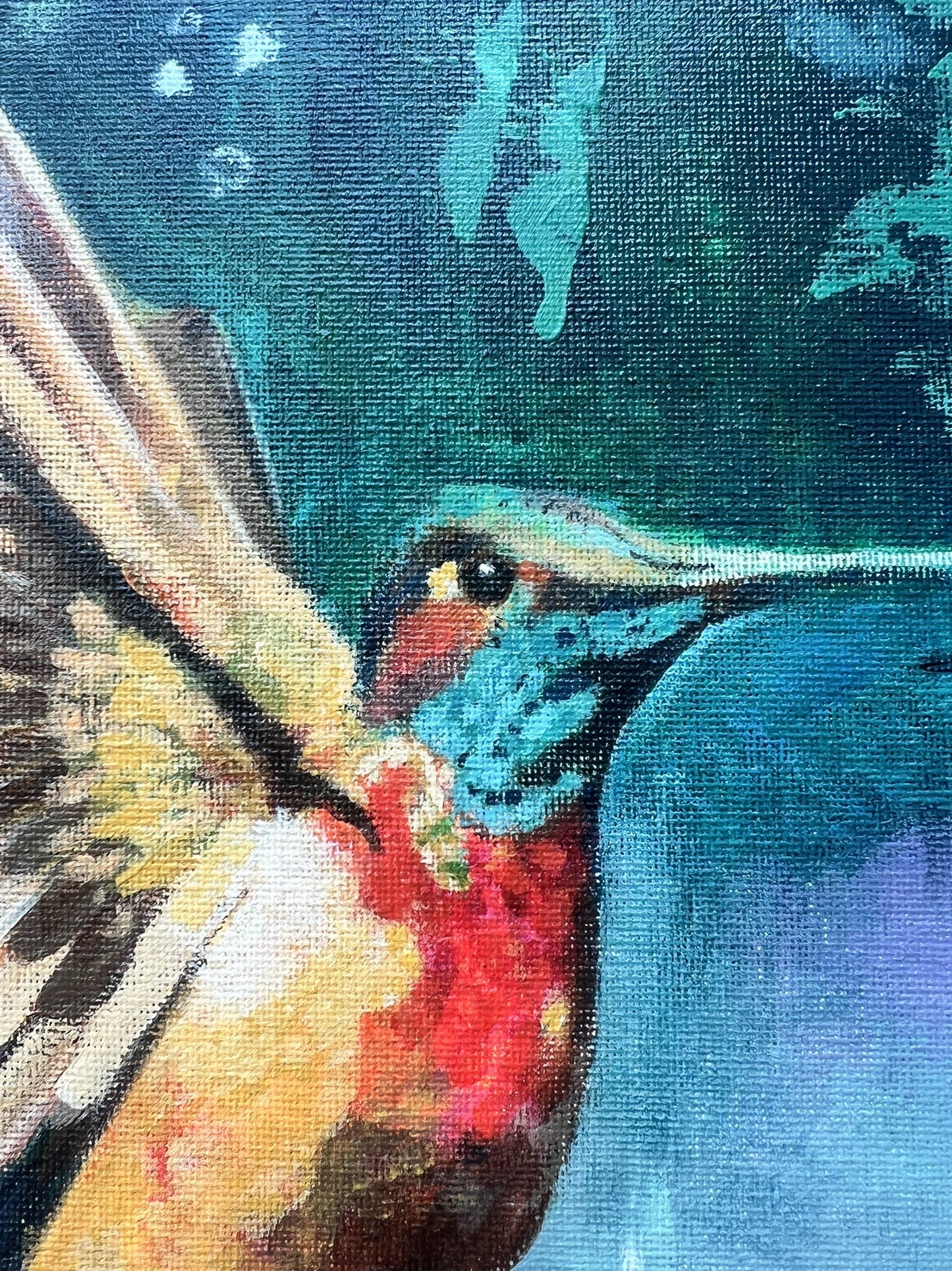 Kolibri bird