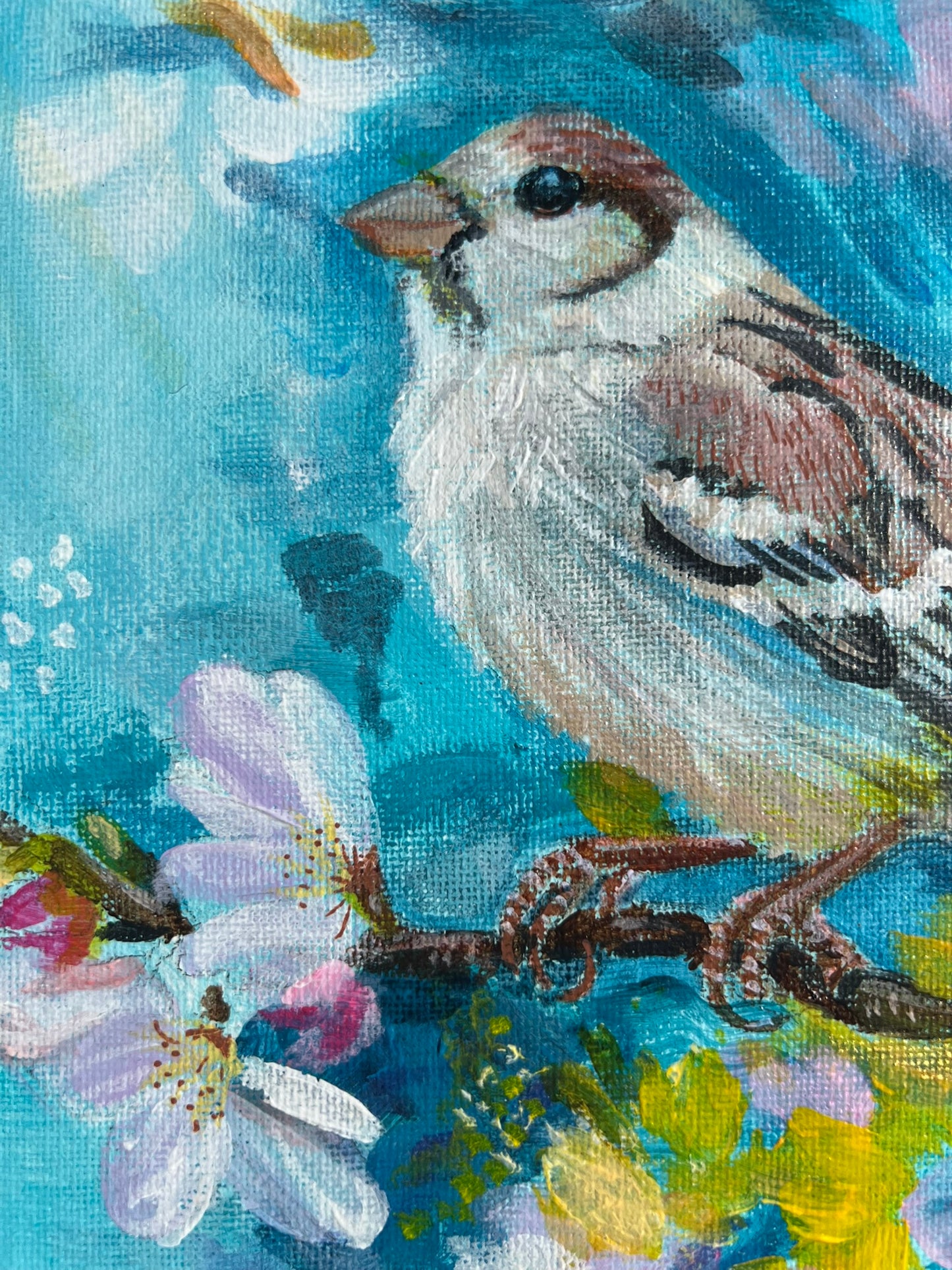 Two little sparrows