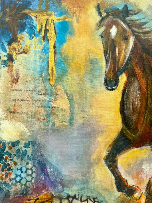 A Horse Wild and Free