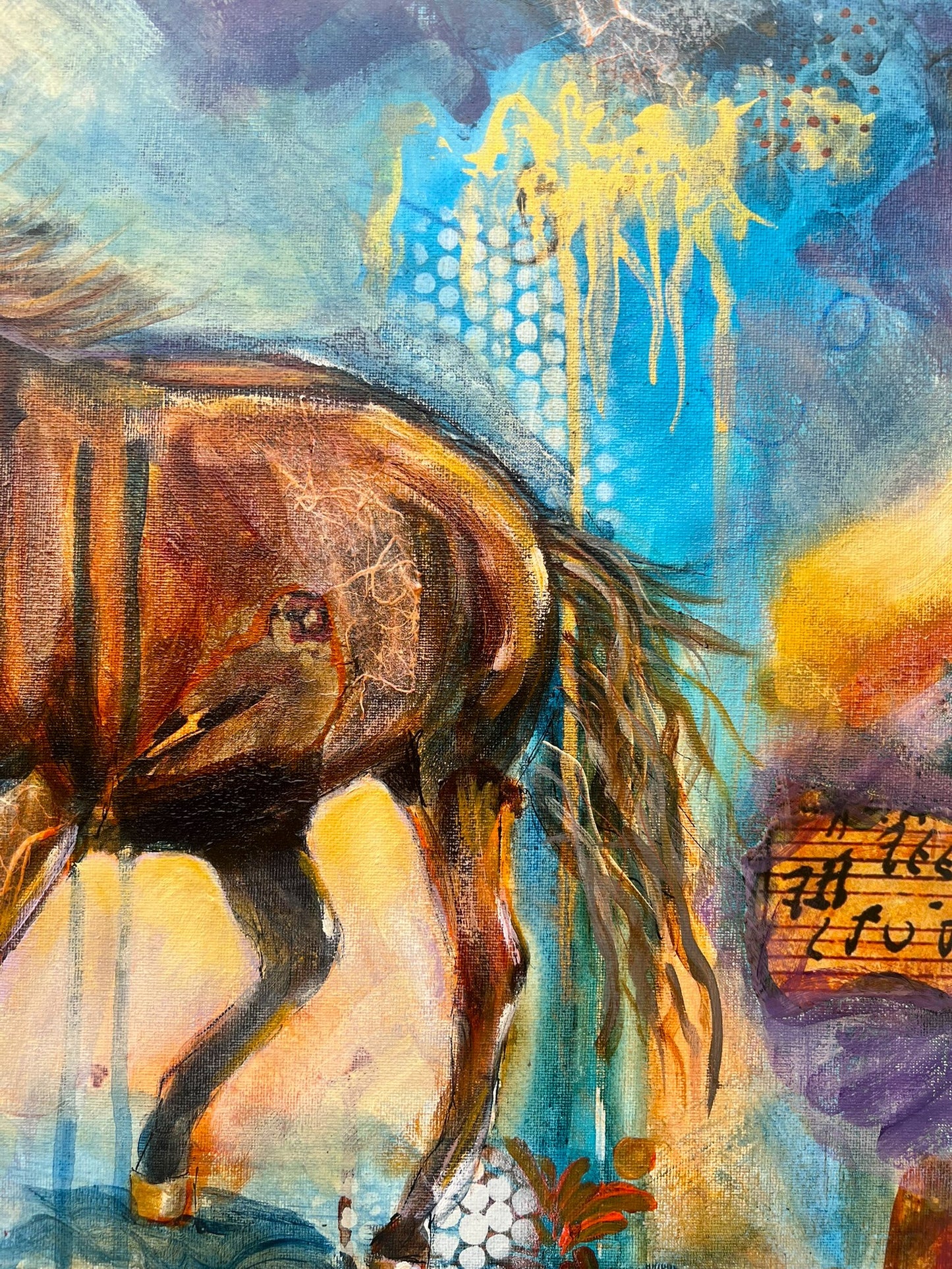 A Horse Wild and Free