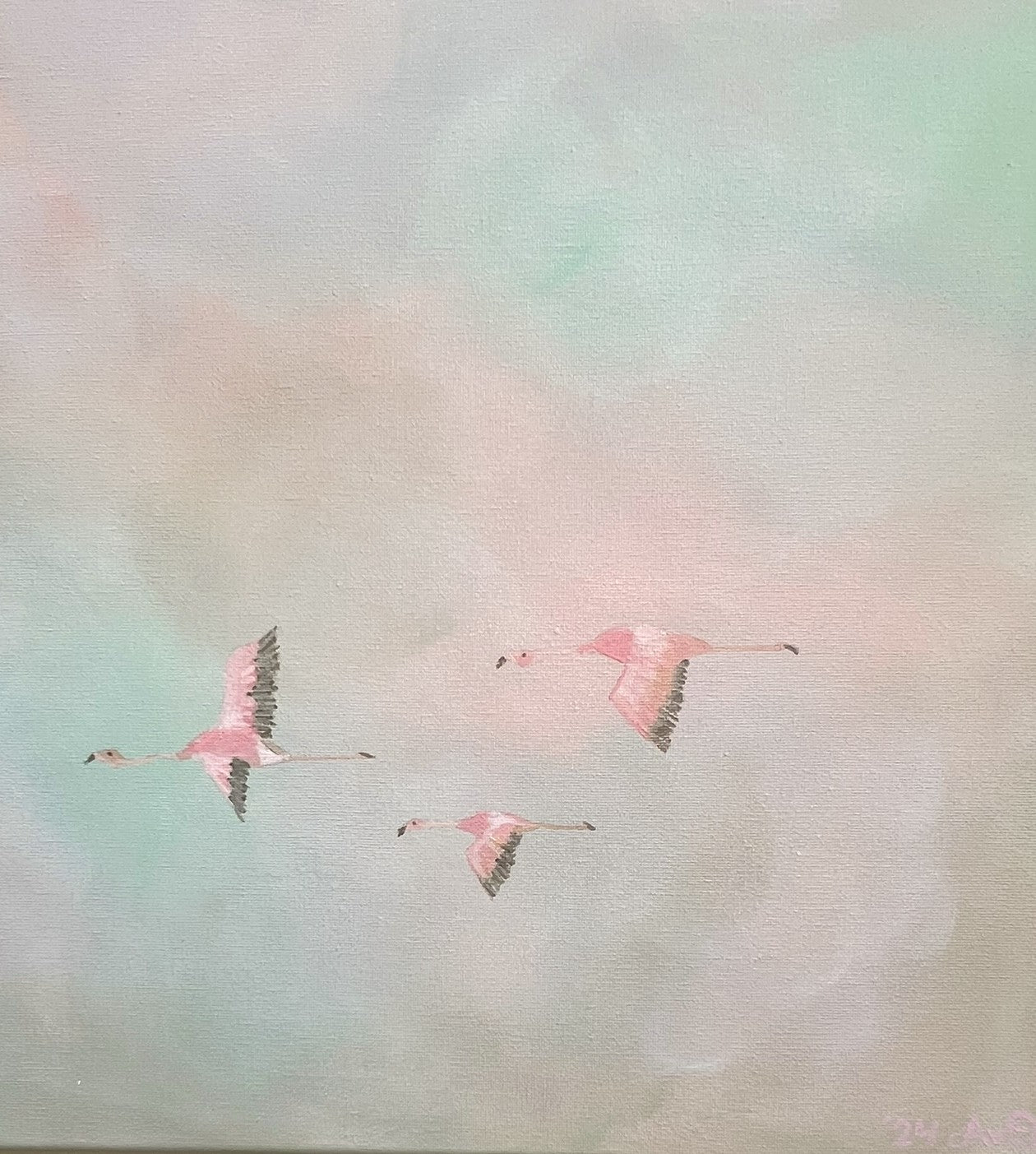 Flamingo Sky