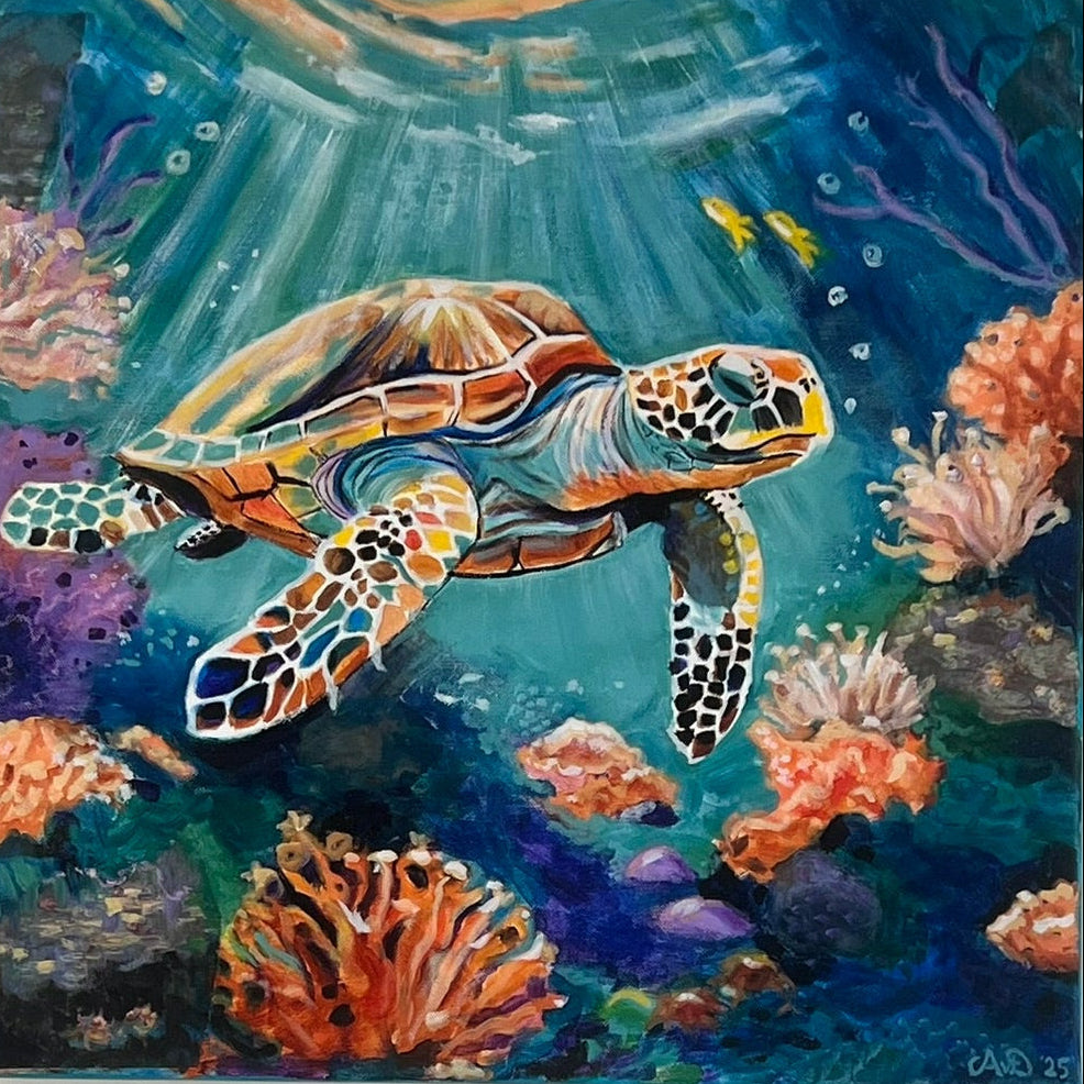 Ocean life is wonderful