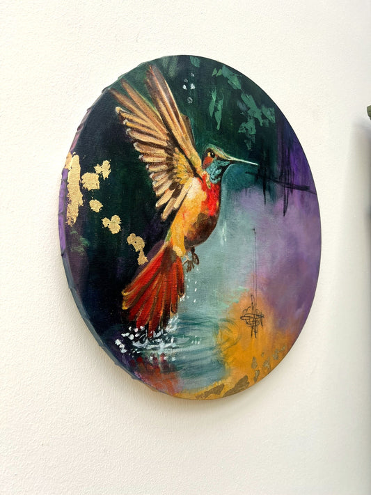 Kolibri bird