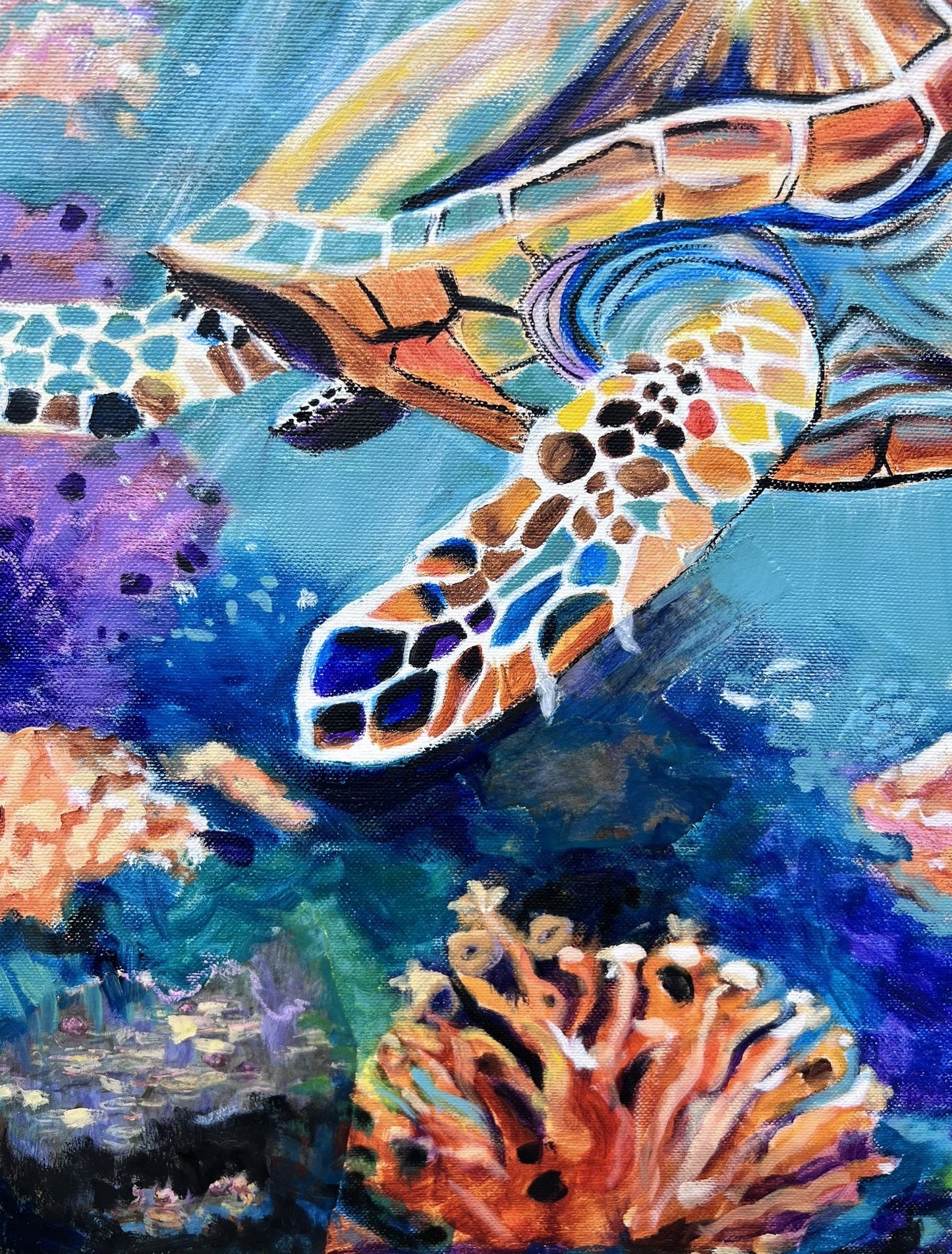 Ocean life is wonderful