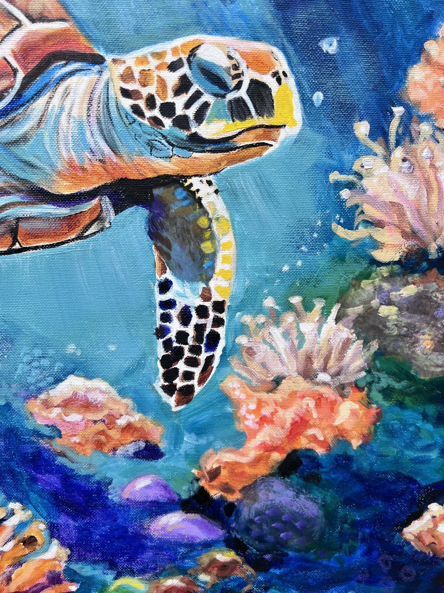 Ocean life is wonderful