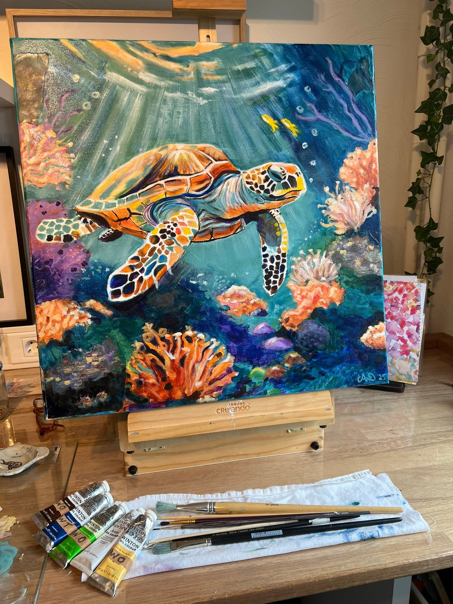 Ocean life is wonderful