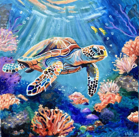 Ocean life is wonderful